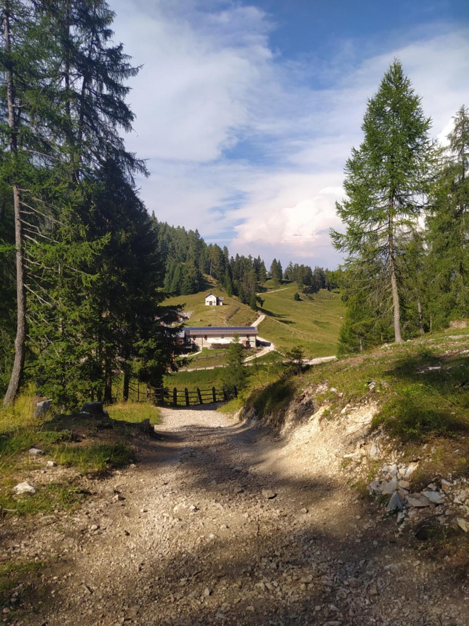 Appartamento Casa Zucol Sarnonico Esterno foto
