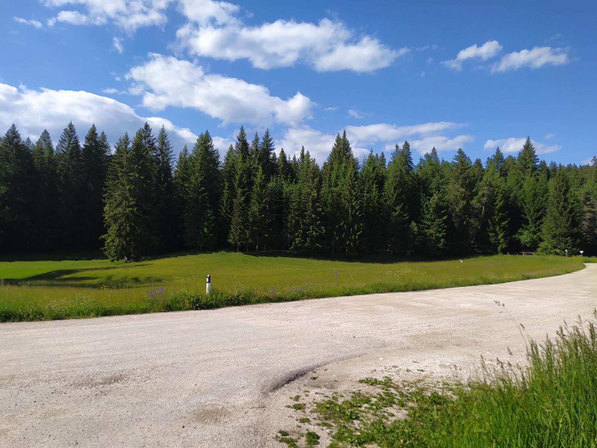 Appartamento Casa Zucol Sarnonico Esterno foto