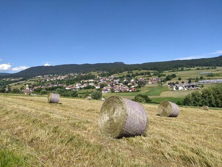 Appartamento Casa Zucol Sarnonico Esterno foto