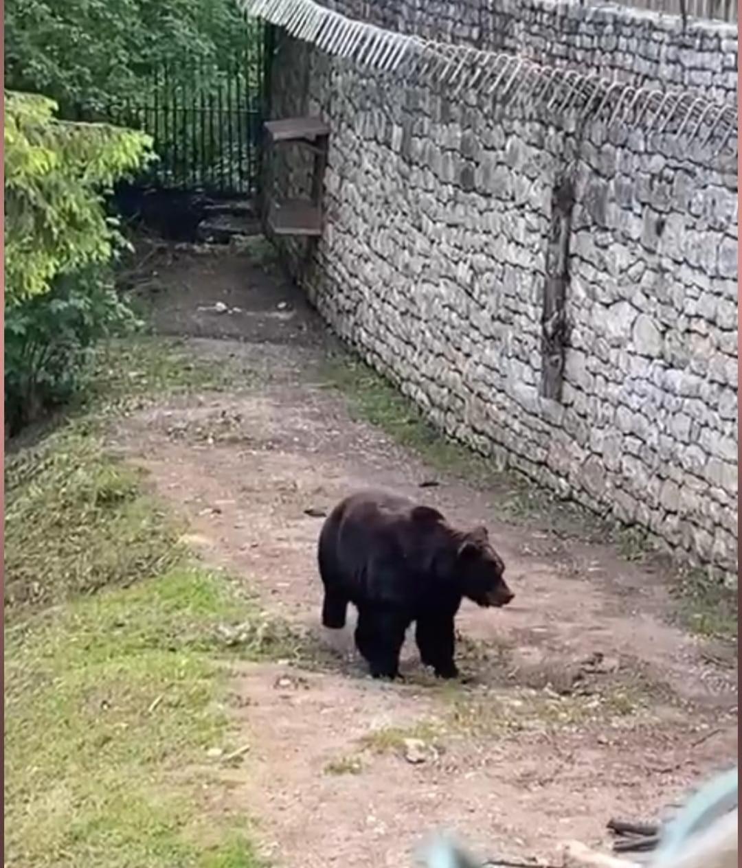 Appartamento Casa Zucol Sarnonico Esterno foto
